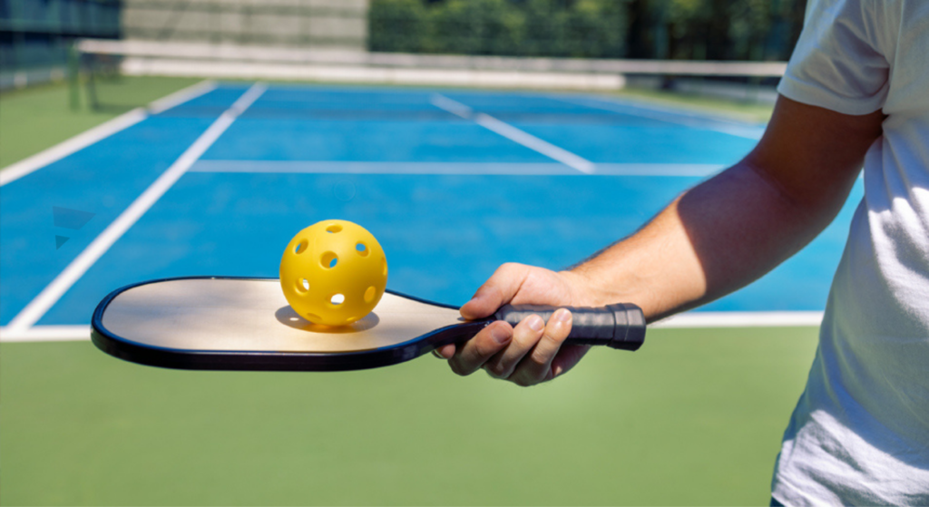 Pickleball Court Price in Delhi